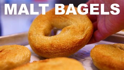 bagel malt|barley malt in bagels.